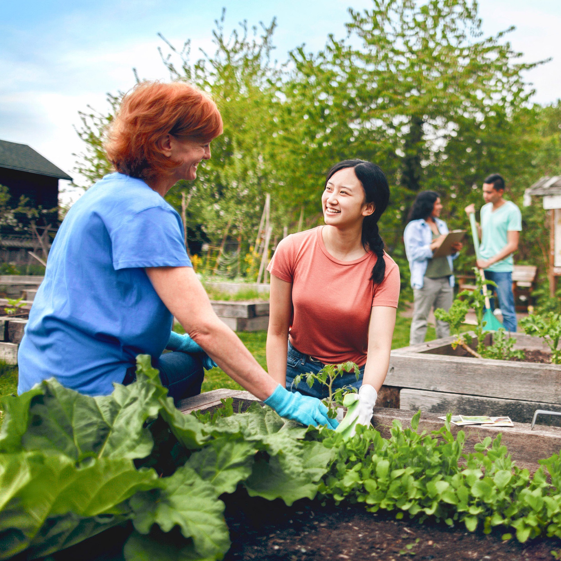 Two women working outside in a raised bed garden